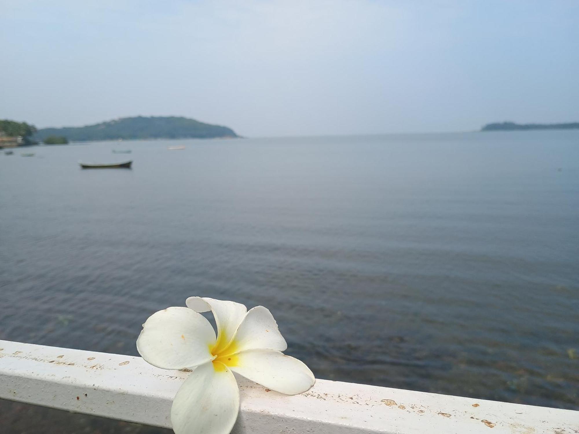 Gs Home On The Bay - Super Sea View Glass Studio Apartment فاغاتور المظهر الخارجي الصورة